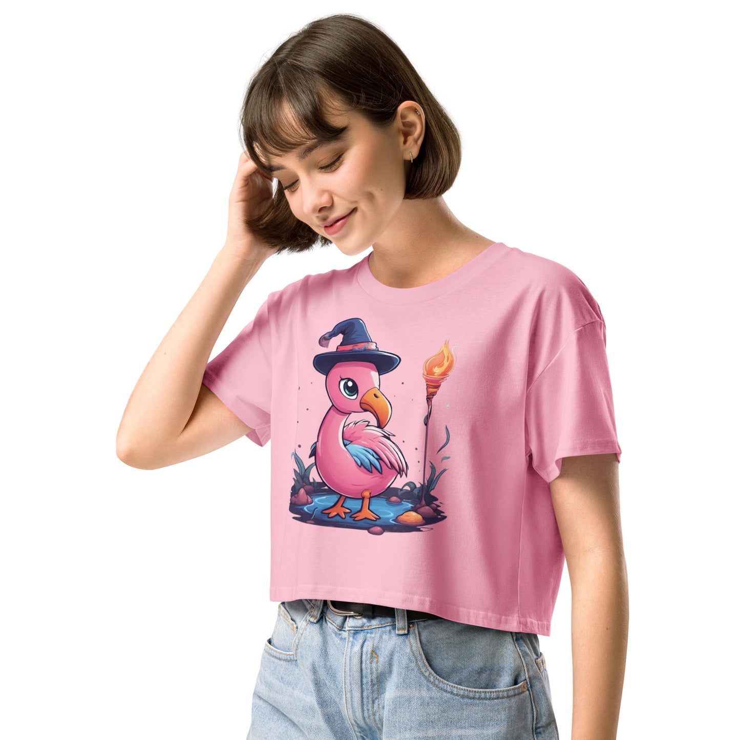 Flamingo Sorcerer